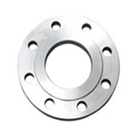 ASTM A182 SS 304 Plate Flanges