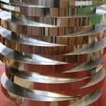 Titanium Gr 5 Strips